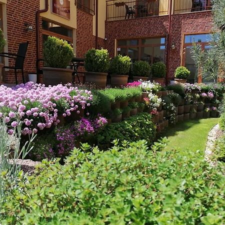 Jolan Pension & Restaurant Cicov Εξωτερικό φωτογραφία