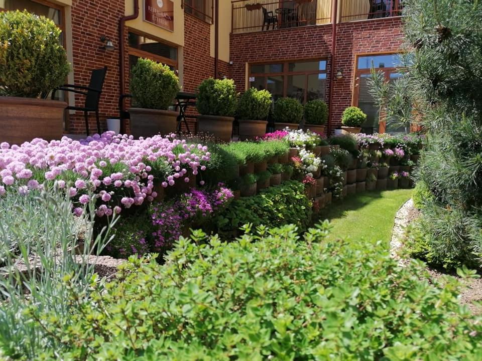 Jolan Pension & Restaurant Cicov Εξωτερικό φωτογραφία